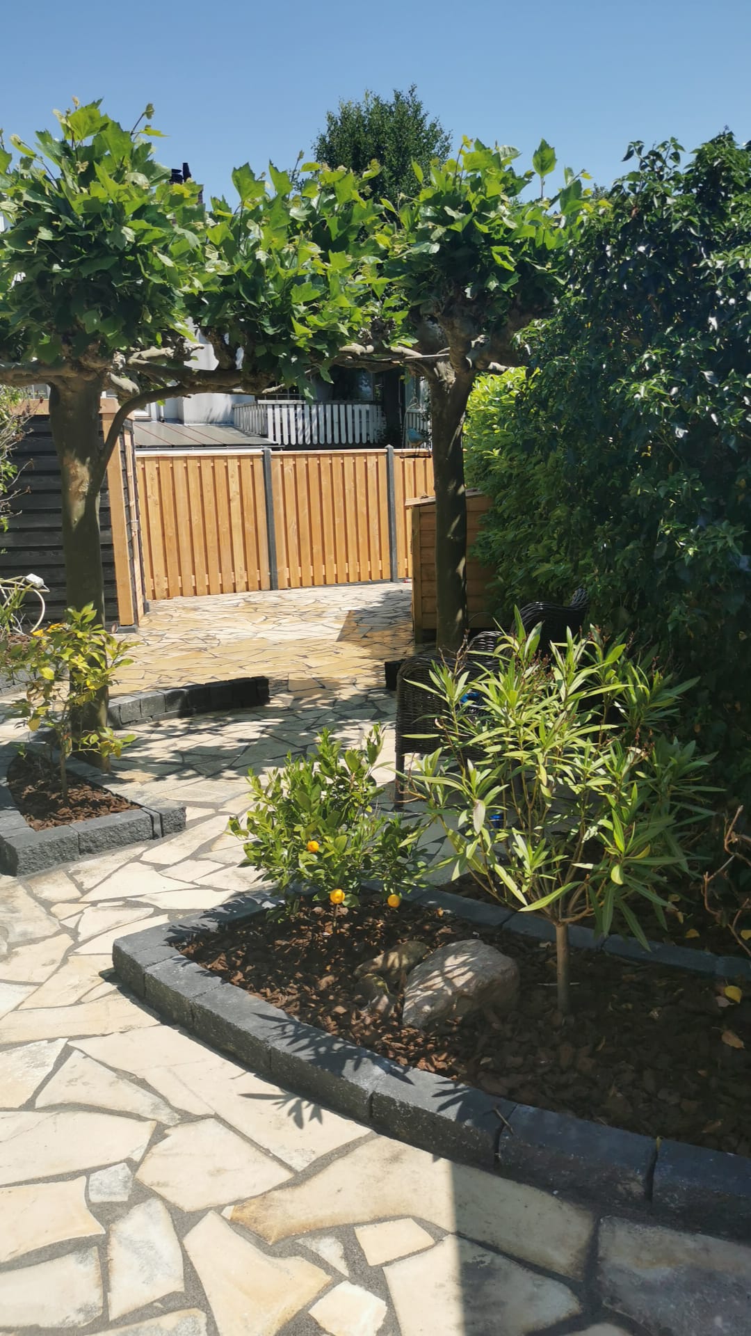 Afbeelding van project Mediterrane tuin in Hellevoetsluis