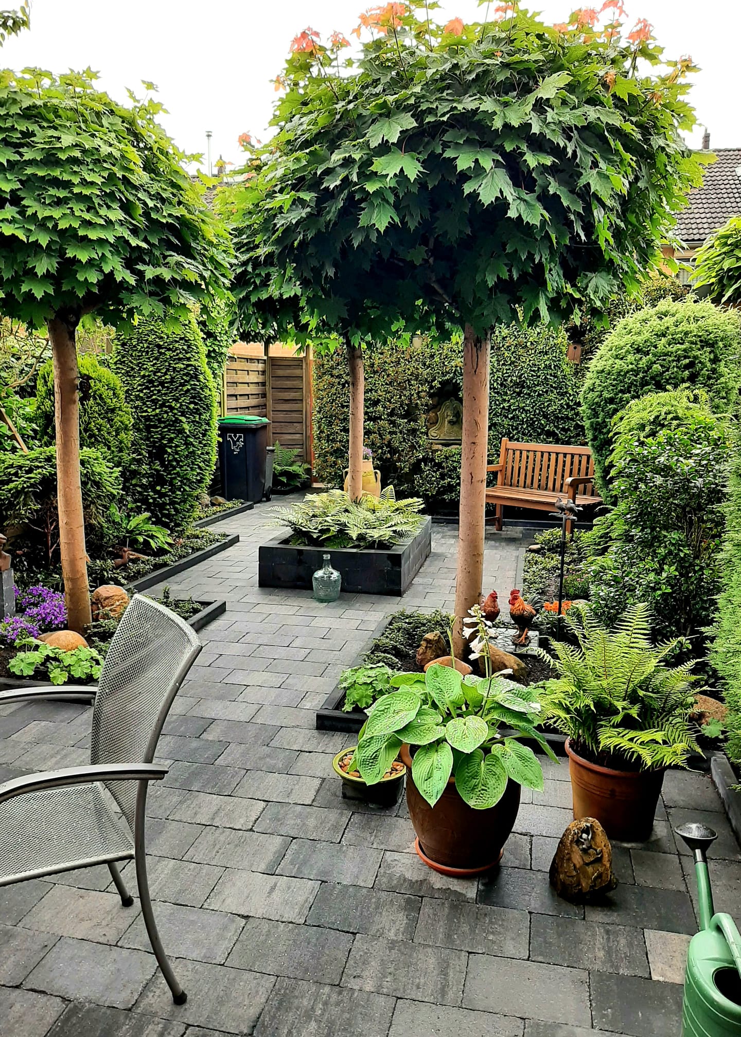 Afbeelding Tuin onderhoud
