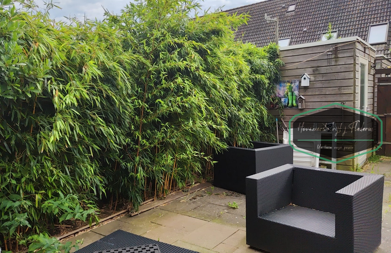 Afbeelding van project Bamboe-probleem opgelost in Rhoon!