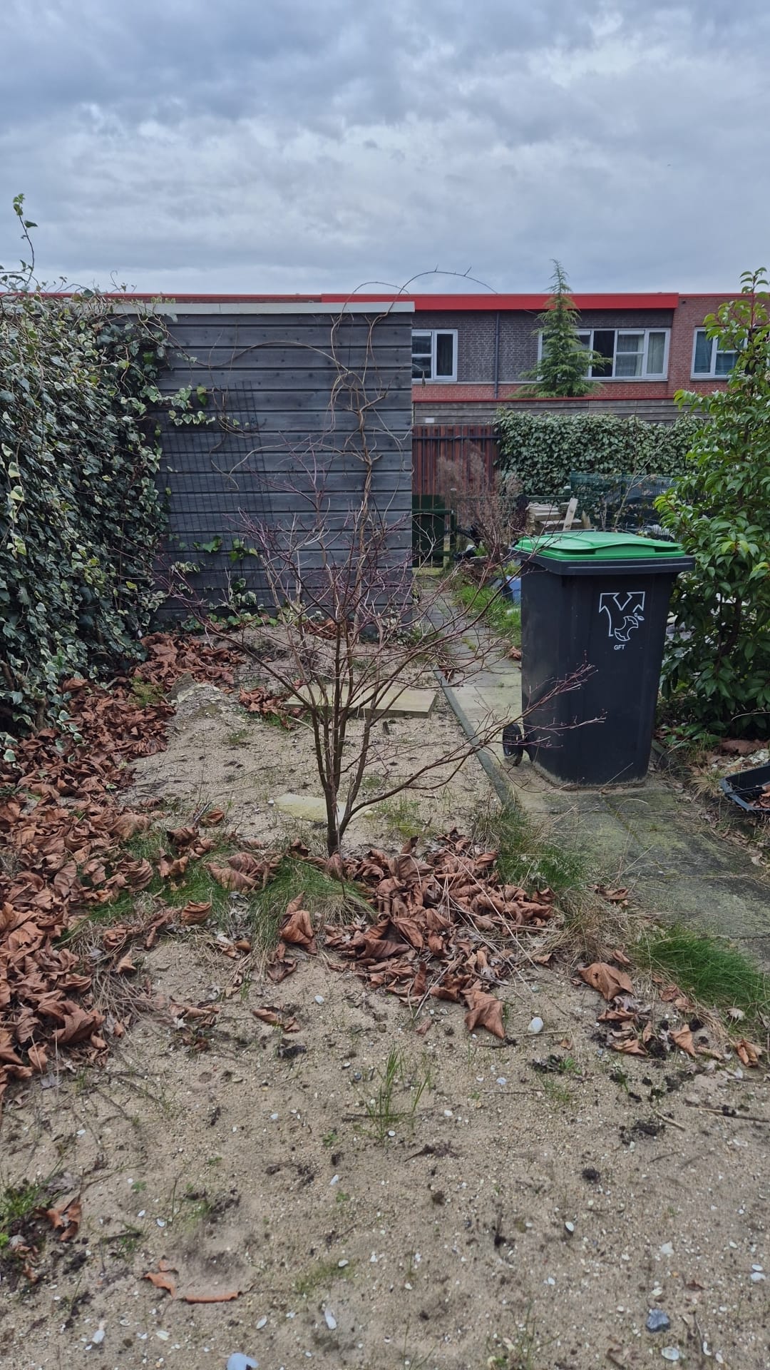 Afbeelding van project Jouw Droomtuin Dichterbij: Een Kijkje bij onze Recente Renovatie in Barendrecht